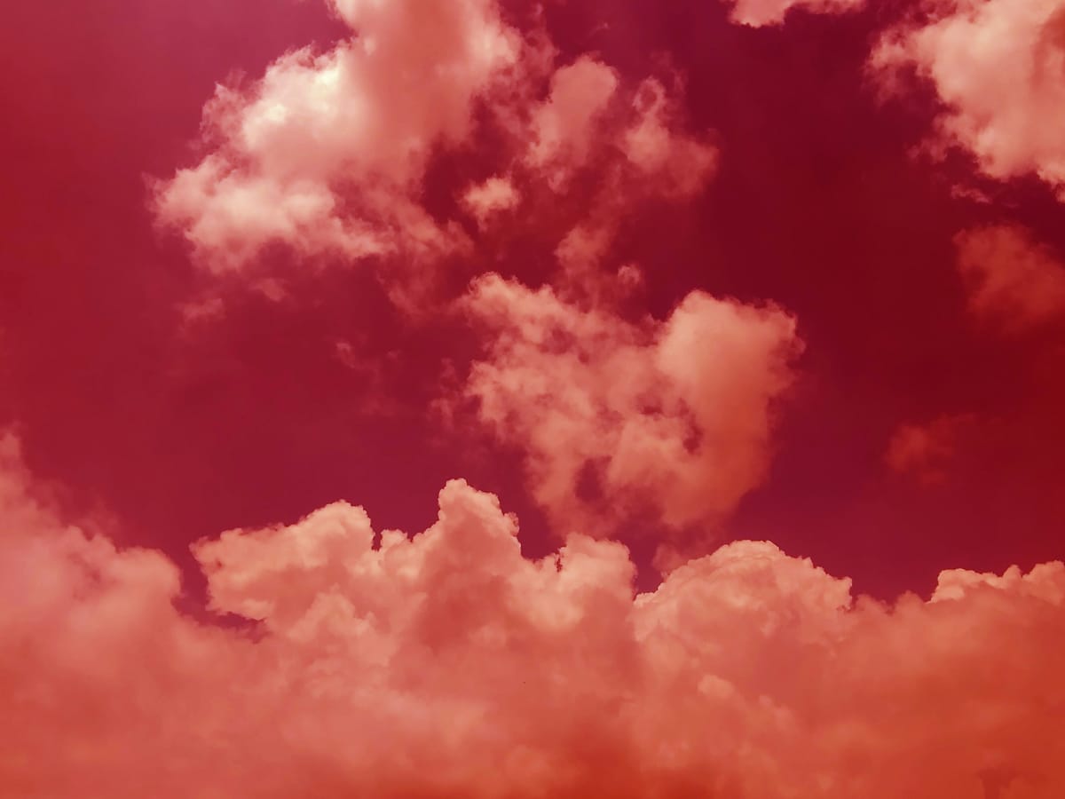 We do not want riches / We want peace and love