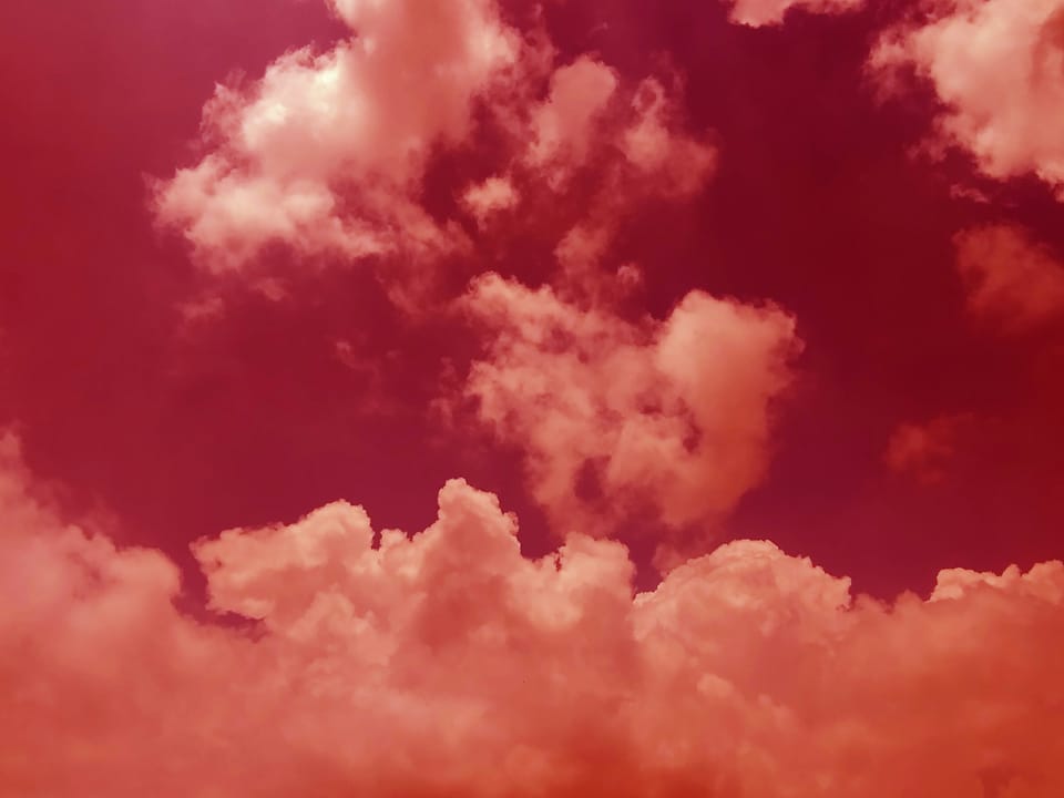 We do not want riches / We want peace and love